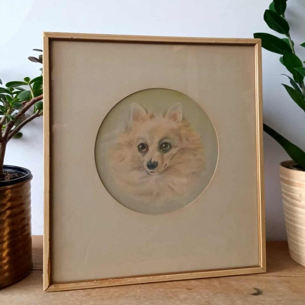 Vintage Framed Pomeranian Dog Portrait